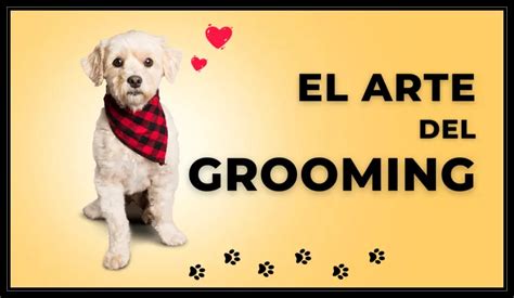 L'arte del grooming (@l